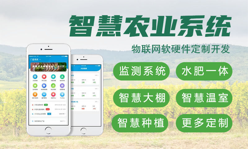 东莞物联网开发：嵌入式应用开发助力企业智能转型