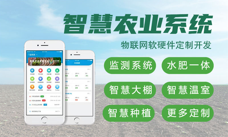 南京物联网单片机开发解决方案：破解智能硬件研发难题