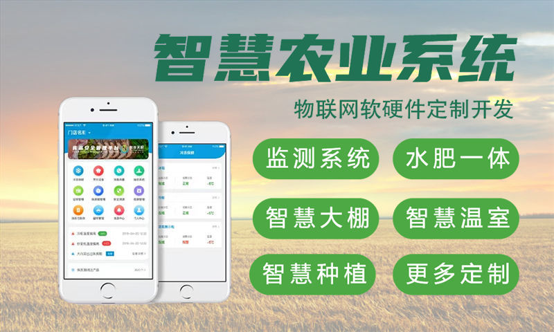 福州物联网开发企业如何通过嵌入式软件开发突破硬件研发瓶颈