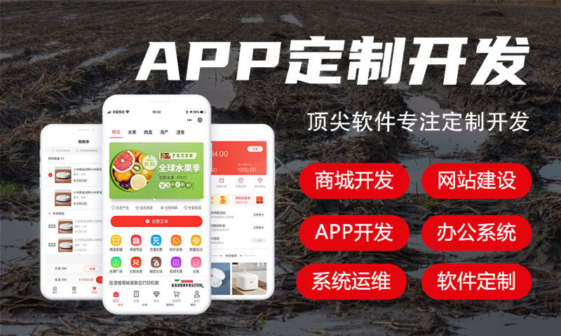 苏州玉米胚芽粉系统模式小程序开发软件：企业数字化转型的高效解决方案