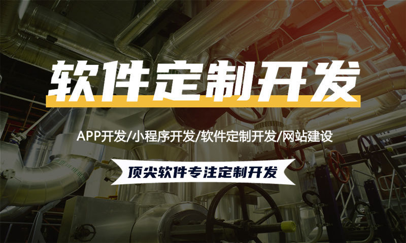 武汉倍莱鲜系统定制模式软件开发：企业数字化转型的高效解决方案