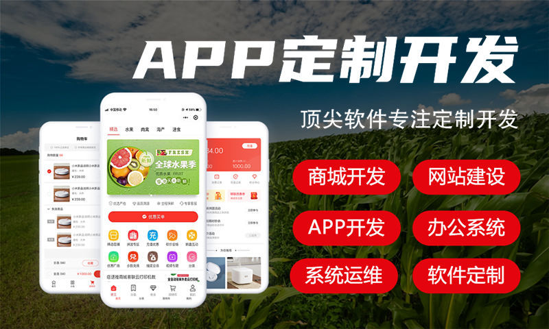 济南小袋鼠商城系统模式开发软件：企业数字化转型的智能解决方案
