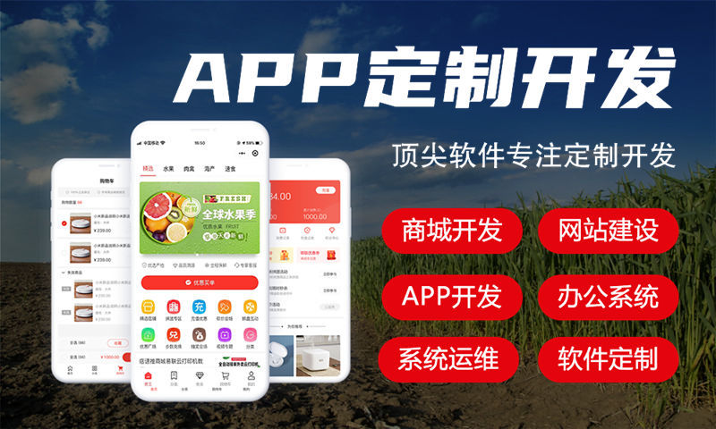 合肥奢源商城模式小程序开发软件：助力企业数字化转型的定制化解决方案