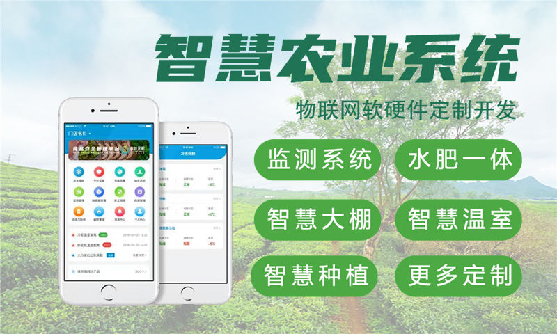 苏州物联网开发：破解企业硬件研发难题的专业解决方案