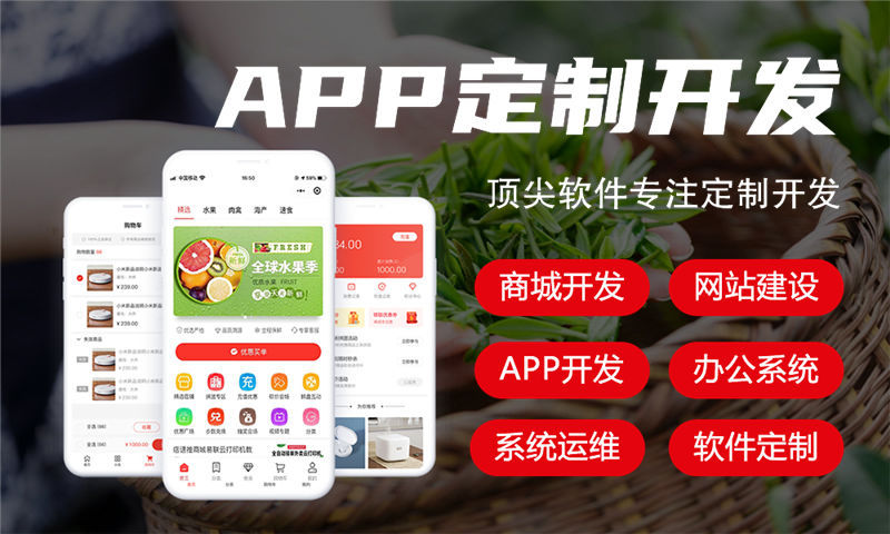福州奢源商城软件模式小程序开发：赋能企业高效数字化转型