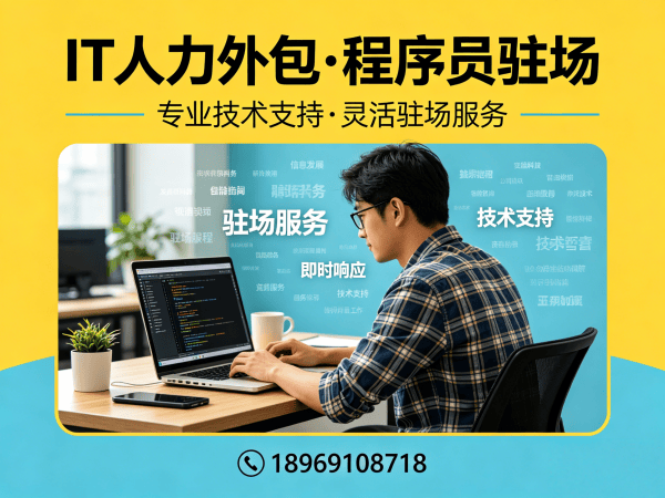 合肥IT人力外包解决方案：Python程序员驻场开发如何破解企业用人难题？